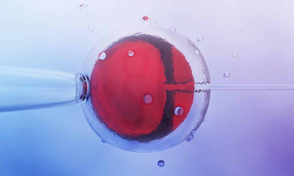 Какво е IVF Пълно ръководство за ин витро оплождане