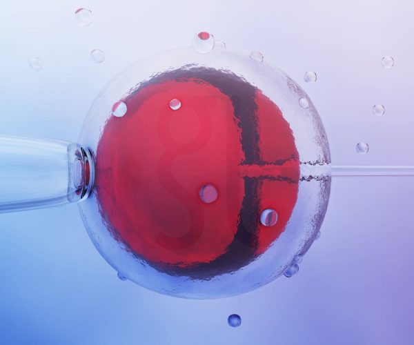 Какво е IVF Пълно ръководство за ин витро оплождане