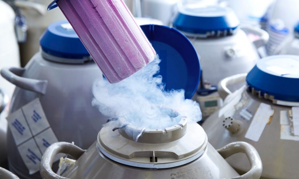 ivf кипър плодородие