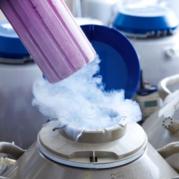 ivf кипър плодородие